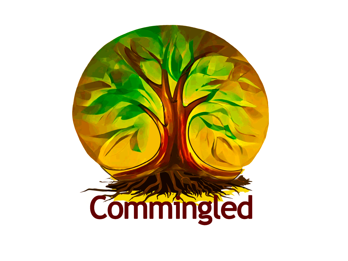 Exciting educational project takes&nbsp;shape